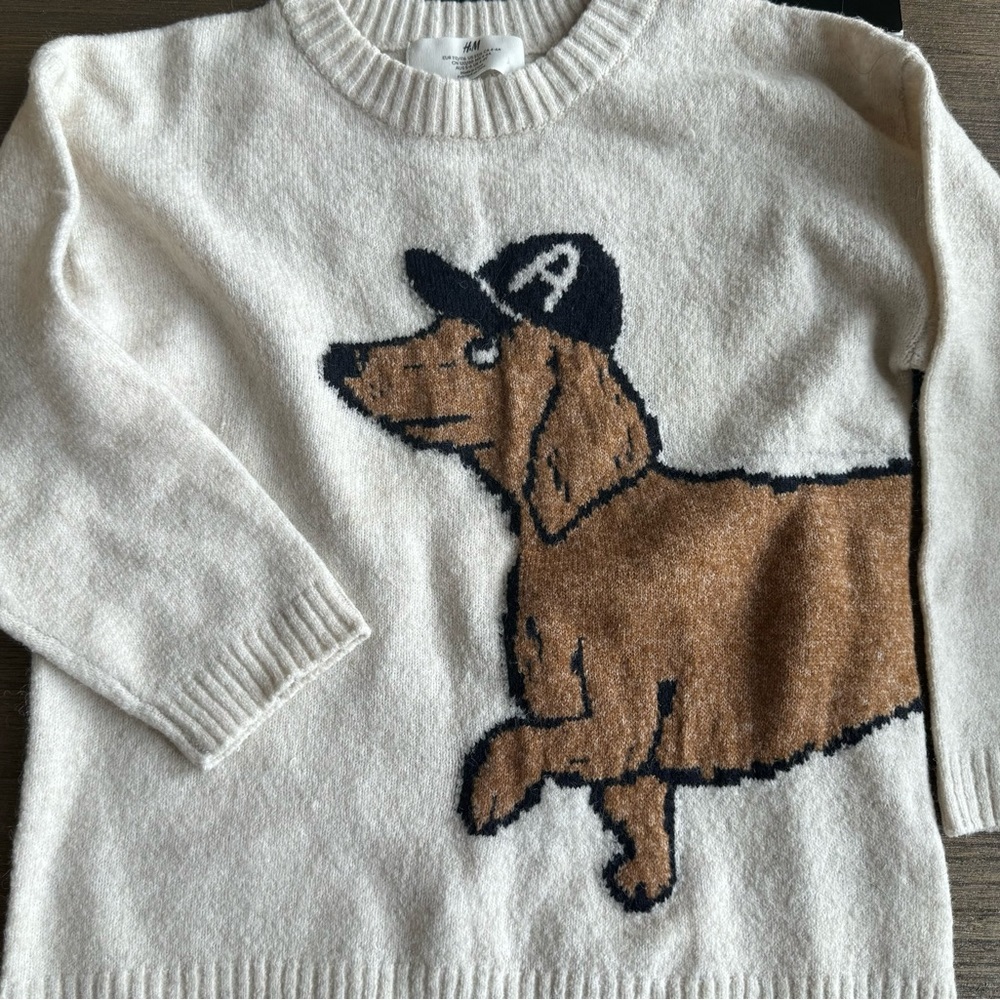H&M dog sweater. Good condition 5T beige and brown.